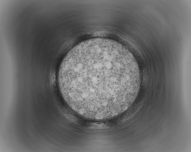 X0000111170502200907291126