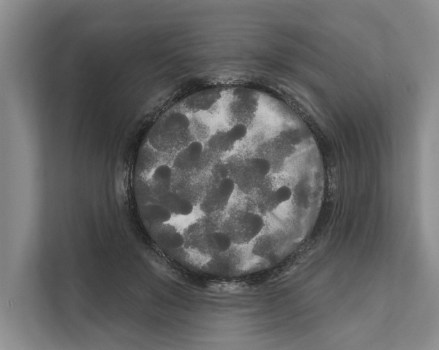 X0000111170503200907291126