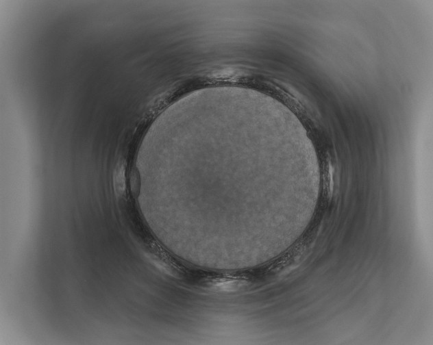 X0000111170504200907291126