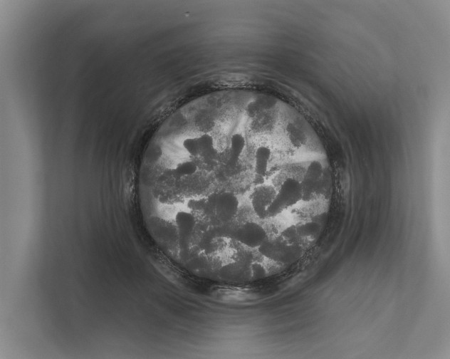 X0000111170507200907291126