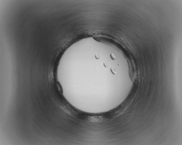 X0000111170508200907291126