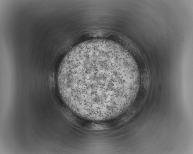 X0000111170510200907291126