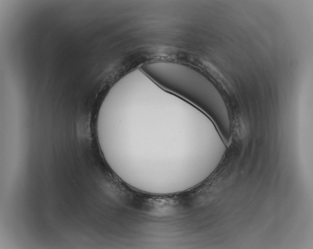 X0000111170512200907291126