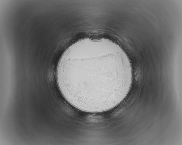 X0000111170515200907291126