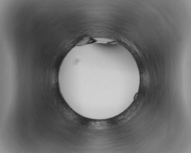 X0000111170517200907291126