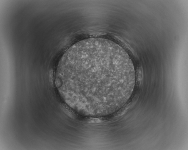 X0000111170519200907291126