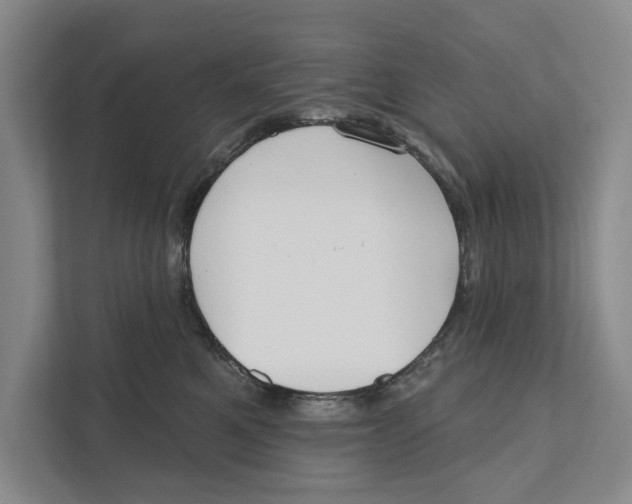 X0000111170521200907291126