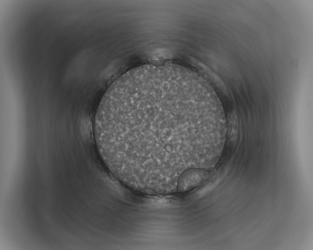 X0000111170523200907291126