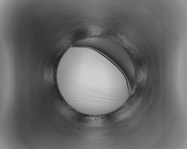 X0000111170524200907291126