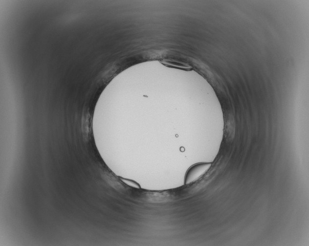 X0000111170525200907291126