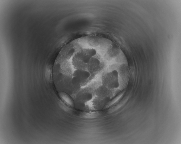 X0000111170527200907291126