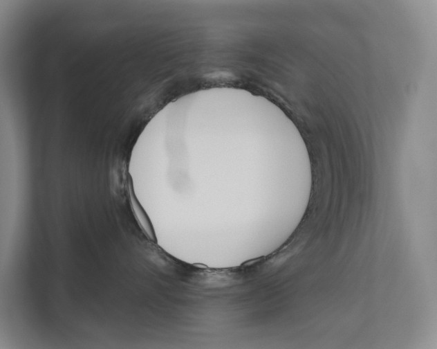 X0000111170528200907291126