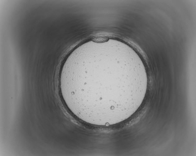 X0000111170529200907291125