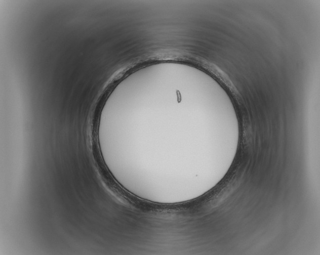 X0000111170530200907291125