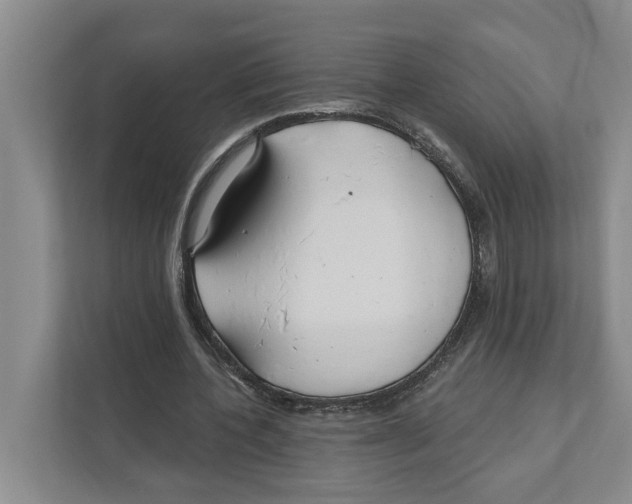 X0000111170532200907291125