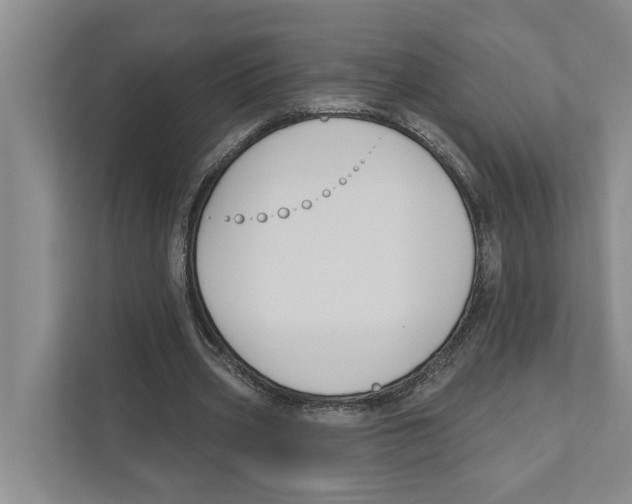 X0000111170533200907291125