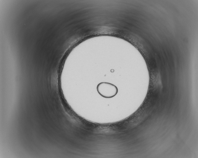 X0000111170534200907291125