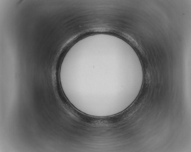 X0000111170535200907291125