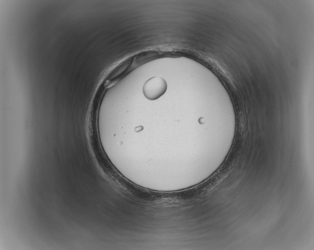 X0000111170536200907291125