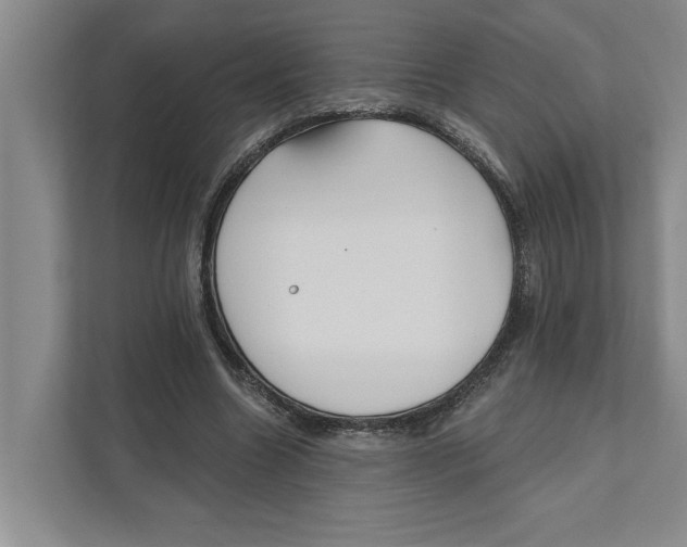 X0000111170538200907291125