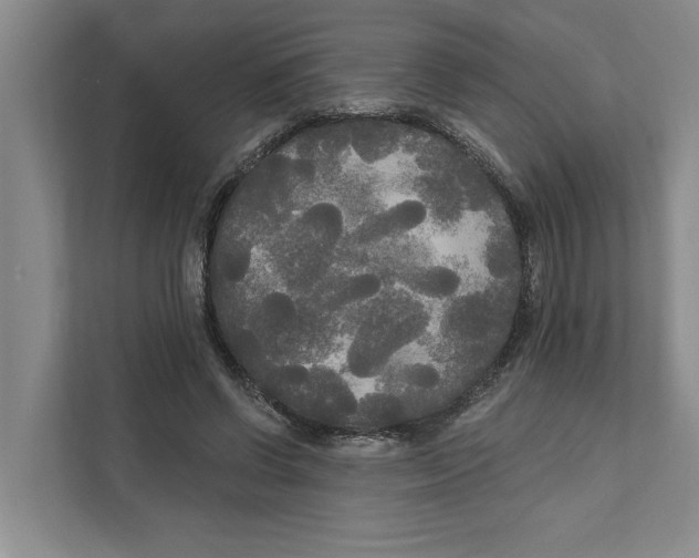 X0000111170542200907291125