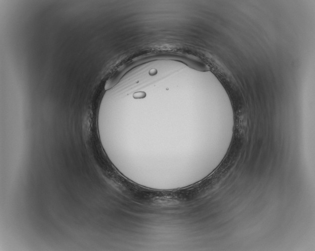 X0000111170544200907291125