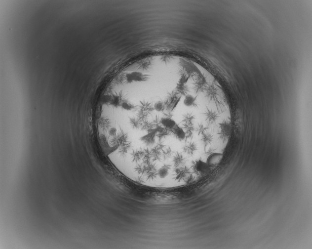 X0000111170547200907291125