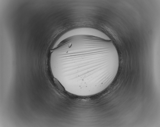 X0000111170548200907291125