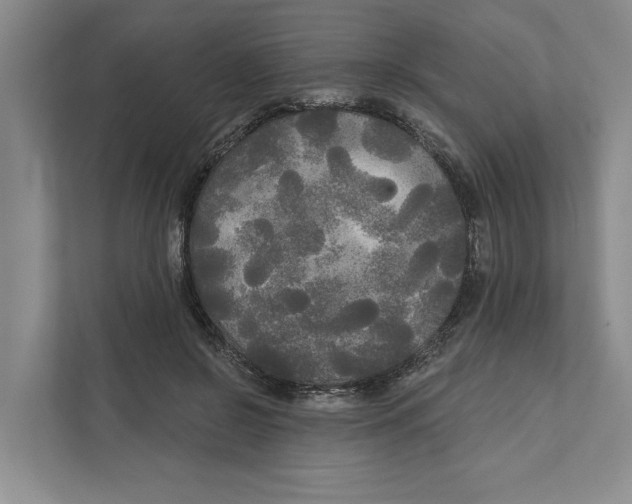 X0000111170550200907291125