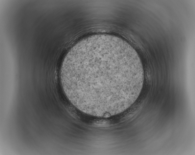 X0000111170551200907291125