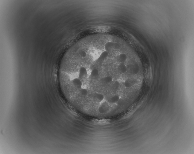 X0000111170553200907291125