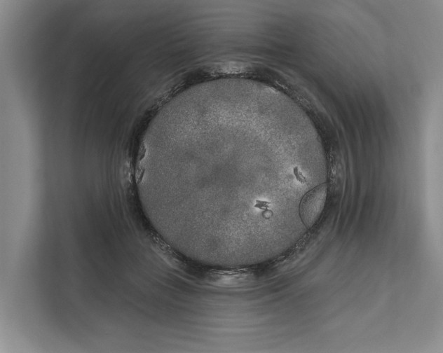 X0000111170555200907291125