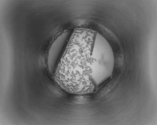 X0000111170558200907291125