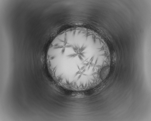 X0000111170559200907291125