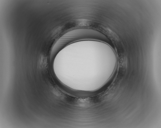 X0000111170560200907291125