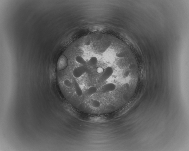 X0000111170561200907291125