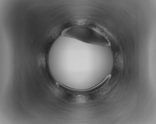 X0000111170562200907291125