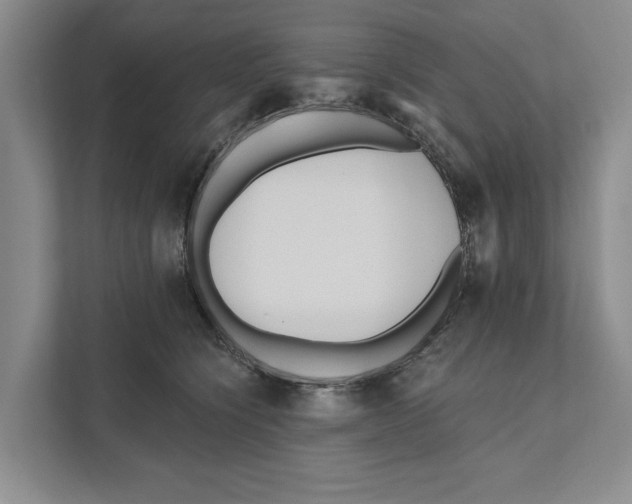 X0000111170564200907291125