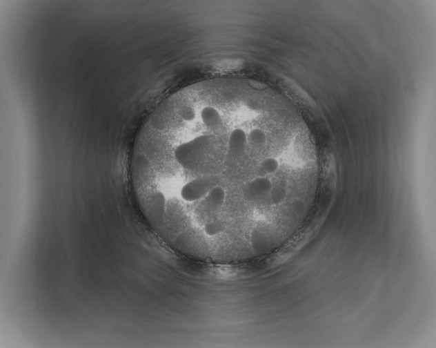 X0000111170565200907291125