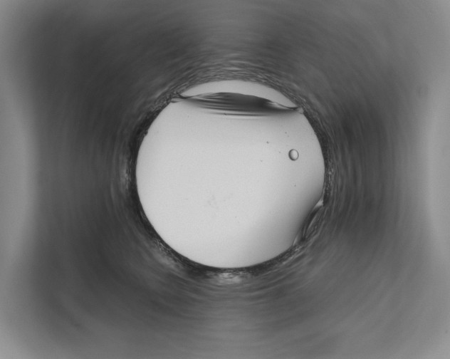 X0000111170566200907291125