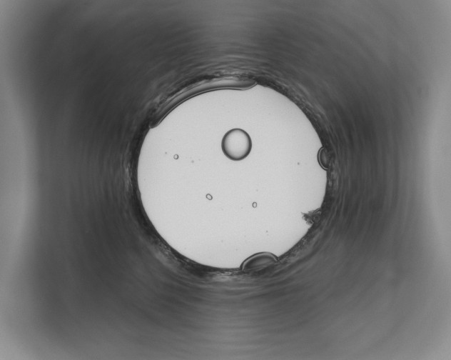 X0000111170568200907291125