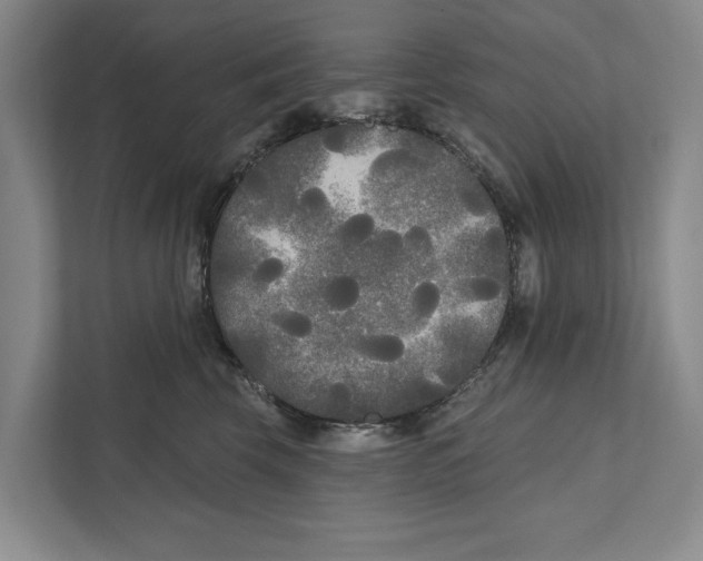 X0000111170569200907291125