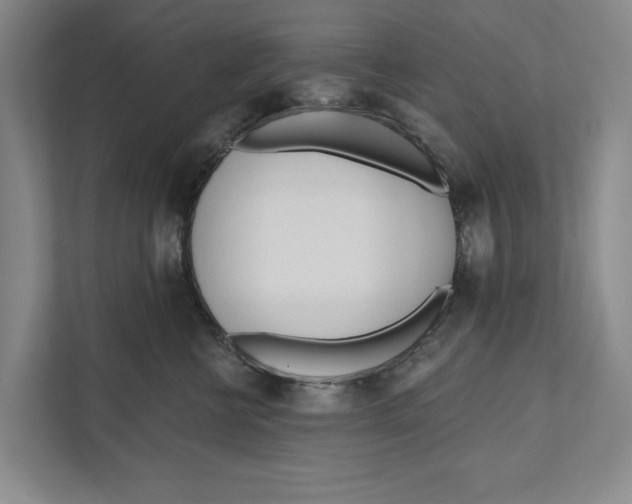 X0000111170570200907291125