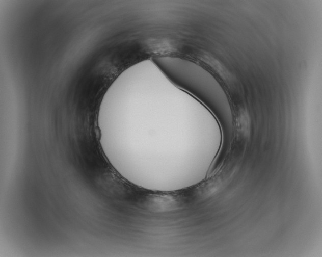 X0000111170572200907291125