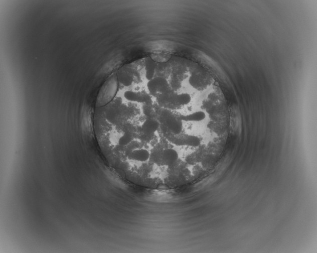 X0000111170573200907291125