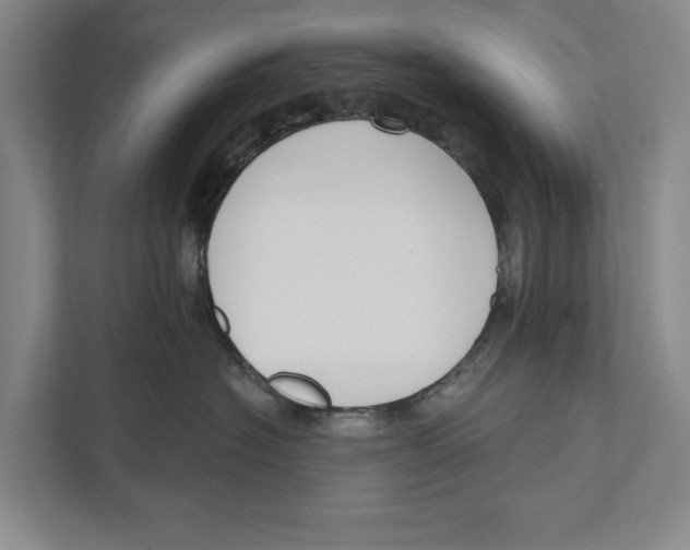 X0000111170574200907291125