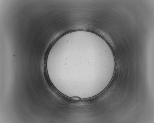 X0000111170578200907291125