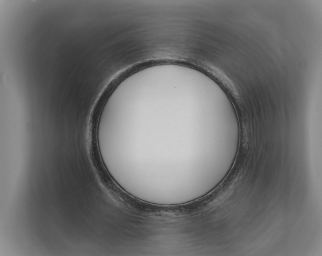 X0000111170580200907291125