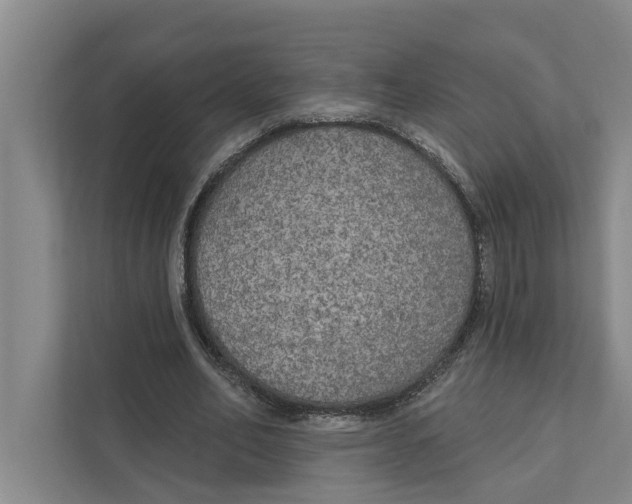 X0000111170582200907291125