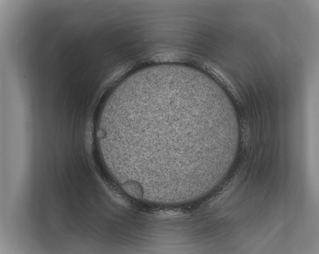 X0000111170586200907291125